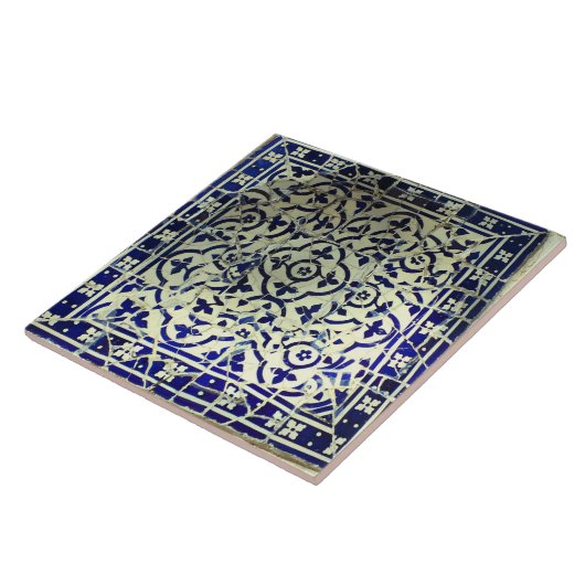 Gaudiの公園のGuellのモザイク・タイルバルセロナ タイル (側面)