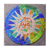 Gaudiの詳細の青 タイル (正面)