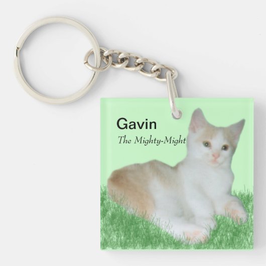 Gavin_Catのキーホルダー キーホルダー (正面)