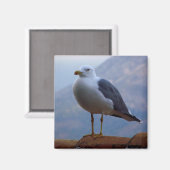 Gaviota posada en muro マグネット (正面/裏面)