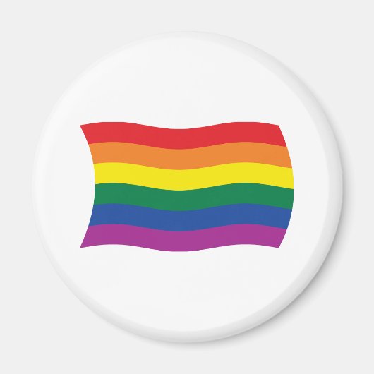 Gay Pride Movement Flag Magnet マグネット (正面)