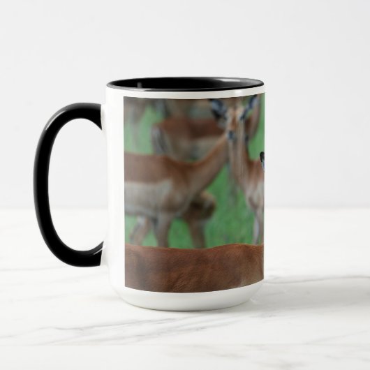 Gazelle Mug マグカップ (左)