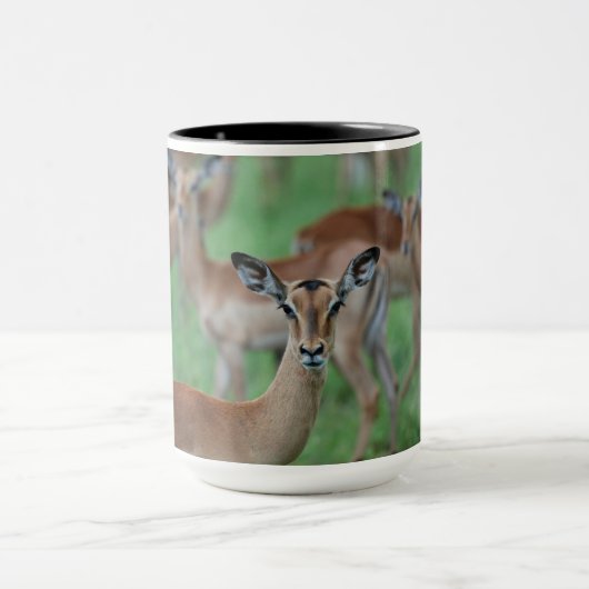 Gazelle Mug マグカップ (中央)