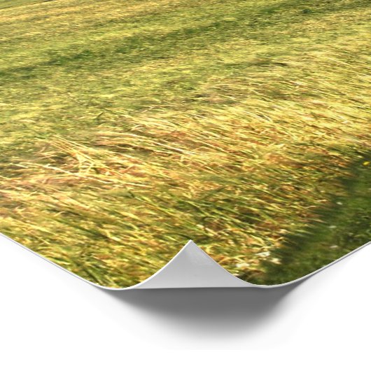 Gazing Upon Pemberley print ポスター (角)