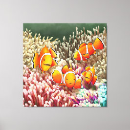 GB Print on canvas clown fish キャンバスプリント