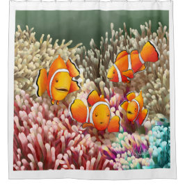 GB Shower Curtain Clownfish シャワーカーテン