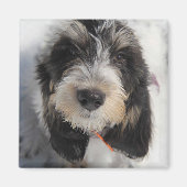 GBGVパピー マグネット (正面)