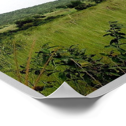 Gbomblora :サバンナ – ポスター (角)