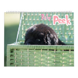 GCH Nottaが私の利益を犠牲にした カレンダー