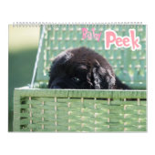 GCH Nottaが私の利益を犠牲にした カレンダー (カバー)