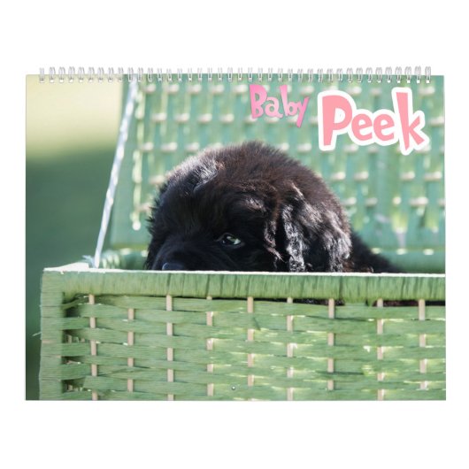 GCH Nottaが私の利益を犠牲にした カレンダー (カバー)