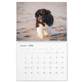 GCH Nottaが私の利益を犠牲にした カレンダー (1月 2026)