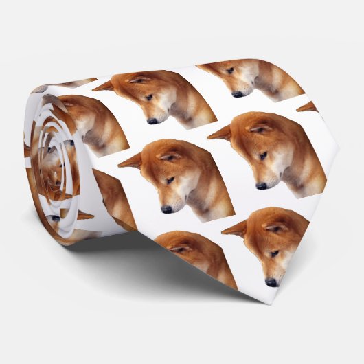 GCH Shibaのタイ ネクタイ (ロール)