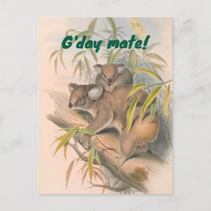 G'day Mate Australian Greeting with Koalas ポストカード