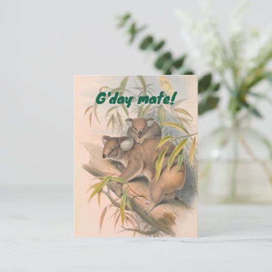 G'day Mate Australian Greeting with Koalas ポストカード (スタンド正面)