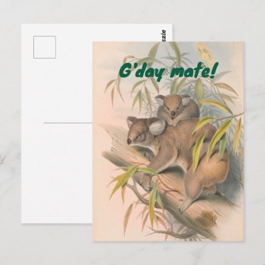 G'day Mate Australian Greeting with Koalas ポストカード (正面/裏面)
