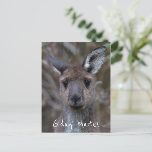 G'Day Mate Kangaroo Australia ポストカード (スタンド正面)