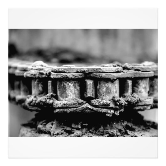 Geared  フォトプリント            (正面)