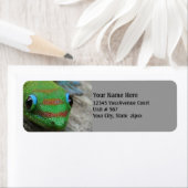 Gecko写真 ラベル (インサイチュ)