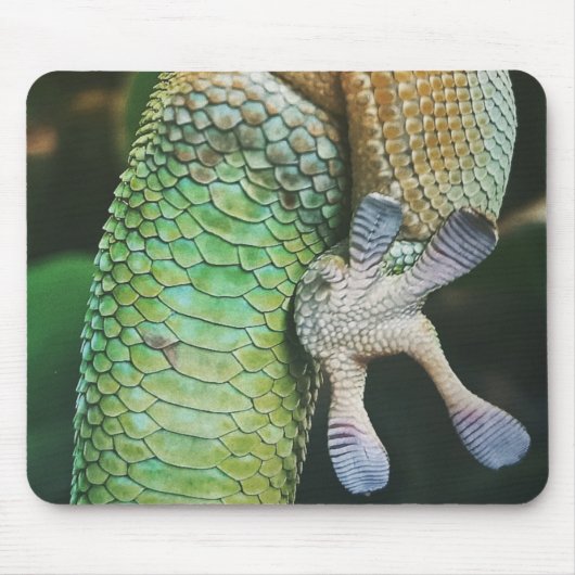 Gecko Feet マウスパッド (正面)