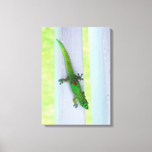 Gecko in Hawaii - Vertical Canvas キャンバスプリント (正面)