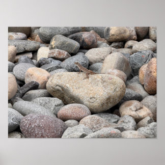 Gecko on the Rocks please ポスター