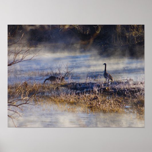 Geeseが休憩のポスターを撮る ポスター (正面)