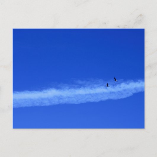 Geeseのペアの移行 ポストカード (正面)