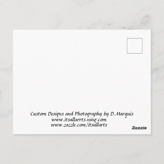 GEESEはがき ポストカード (裏面)