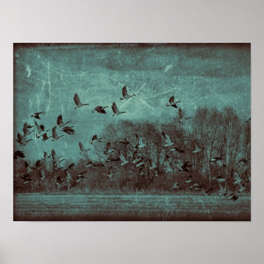 Geeseヴィンテージアンティークティール（緑がかった色）グリーンテクスチャデコページ ポスター (正面)