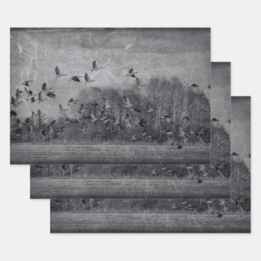 Geeseヴィンテージ白黒テクスチャの分離 ラッピングペーパーシート (セット)