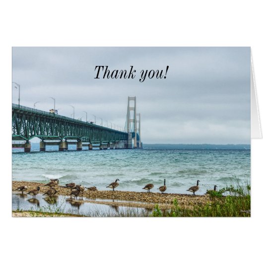 Geese At MightyMacありがとう (正面横)