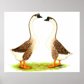 Geese:  Brown Chinese ポスター (正面)