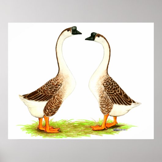 Geese:  Brown Chinese ポスター (正面)