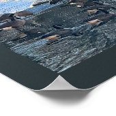 Geese by Waterfallフォトポスター ポスター (角)