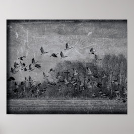 Geese In Flight Vintage Black And White Texture ポスター