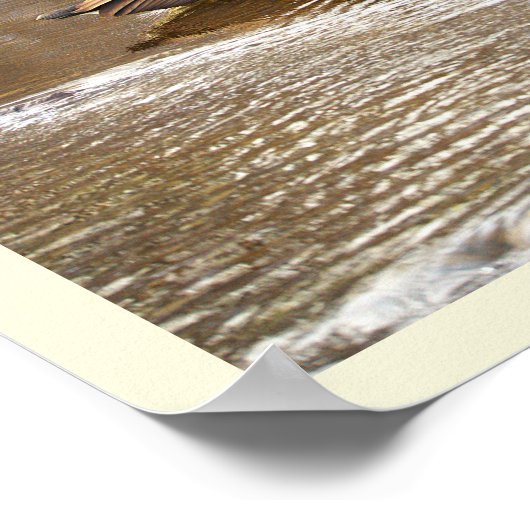 Geese in Icy Creek Poster ポスター (角)