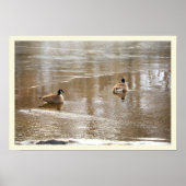 Geese in Icy Creek Poster ポスター (正面)