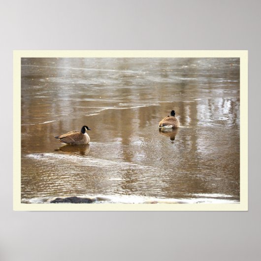 Geese in Icy Creek Poster ポスター (正面)