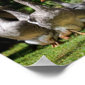 Geese in the Dordogneポスタープリント ポスター (角)