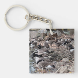 Geese in the Park Key Chain キーホルダー