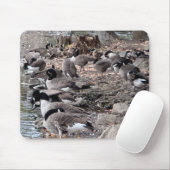 Geese in the Park Mouse Pad マウスパッド (マウス)
