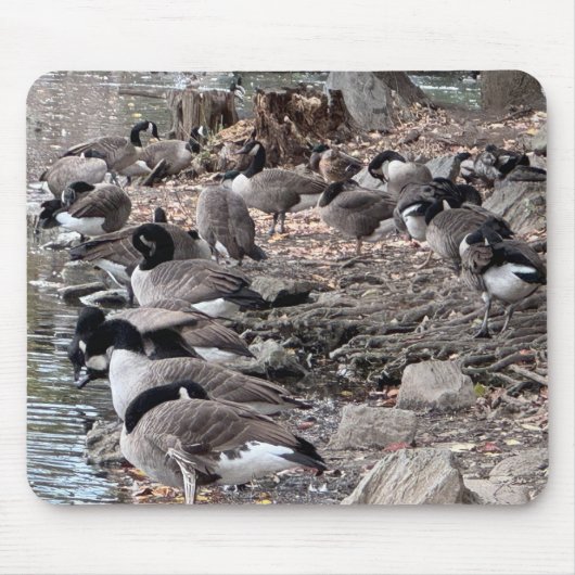 Geese in the Park Mouse Pad マウスパッド (正面)