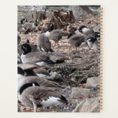 Geese in the Park Planner プランナー手帳 (裏面)
