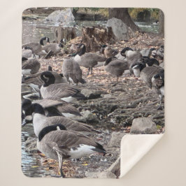 Geese in the Park Sherpa Blanket シェルパブランケット