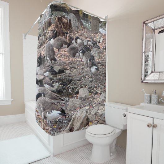 Geese in the Park Shower Curtain シャワーカーテン (インサイチュ)
