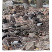 Geese in the Park Shower Curtain シャワーカーテン (正面)