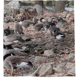Geese in the Park Shower Curtain シャワーカーテン