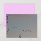 Geese on the Flyはがき ポストカード (正面/裏面)