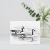 Geese on Water ポストカード (スタンド正面)